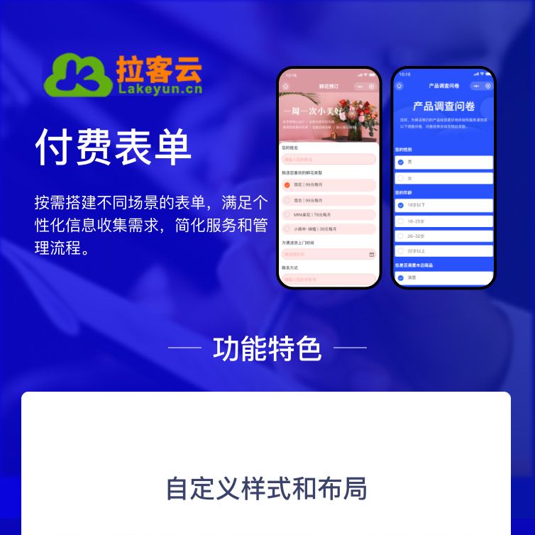 自定义表单